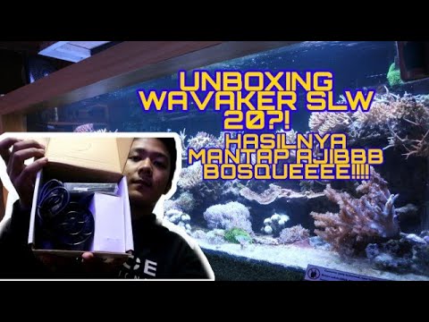 UNBOXING WAVEMAKER JEBAO SLW 20?! HASILNYA AJIB BOSQUUEEEE
