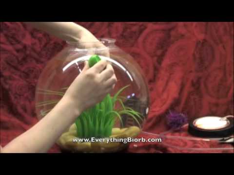 Using the Biorb Magnet Cleaner