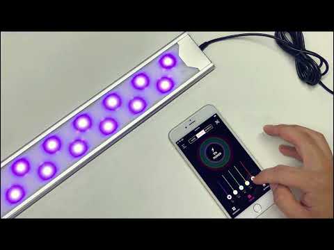 MicMol Felix – Bluetooth App Controller Connecting