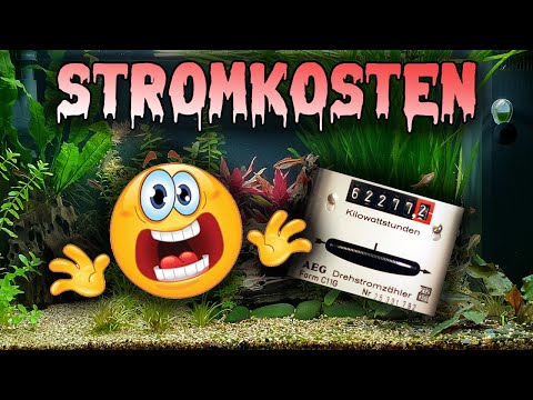 Stromkosten beim Juwel Rio 125 (154)