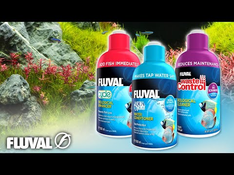 A WELL BALANCED TEAM | Fluval Water Care