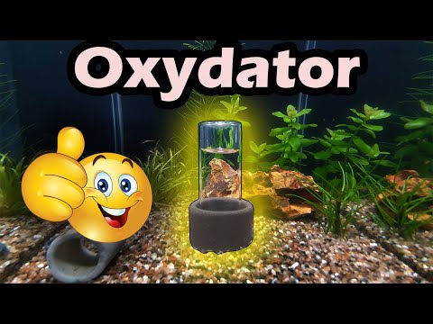 Söchting Oxydator UNBOXING (155)