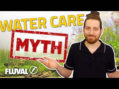 Common Water Care Myths DEBUNKED!