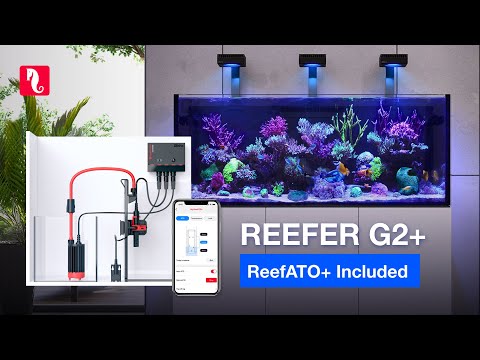 Upgraded REEFER G2+ and 4 new Peninsulas! – Now equipped with the revolutionary ReefATO+!