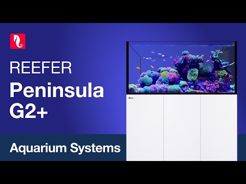 REEFER Peninsula G2+ – The 2nd generation of room-divider systems