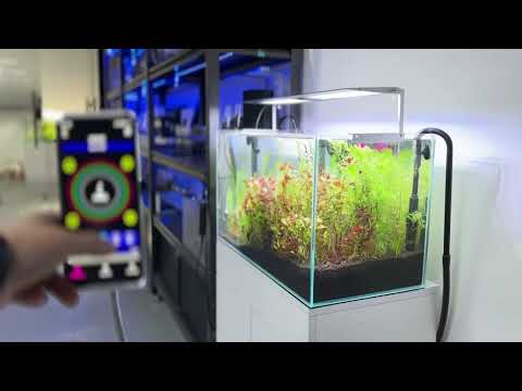 MicMol Aqua Air App control Demo