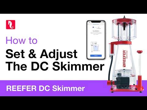 How to set up and adjust REEFER DC Skimmers
