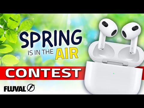 GIVEAWAY | SPRING IS IN THE AIR 2023