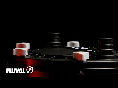 POWER COMES IN ALL SIZES | Fluval FX2 Canister Filter