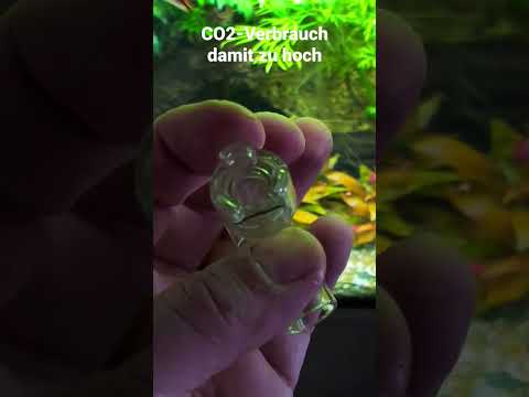 Aquario Neo Skimmer wieder entfernt #aquaristik #aquarium