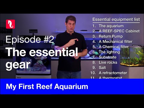 My First Reef Aquarium, episode 2 – The essential gear