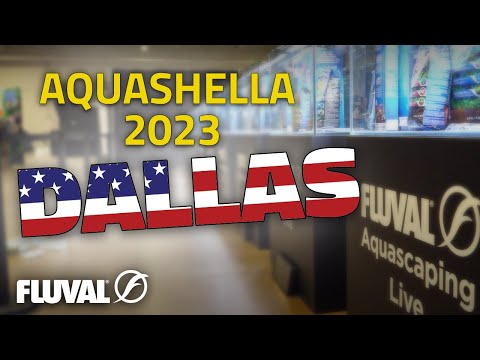 Aquashella Dallas 2023 | LIVE AQUASCAPING CONTEST