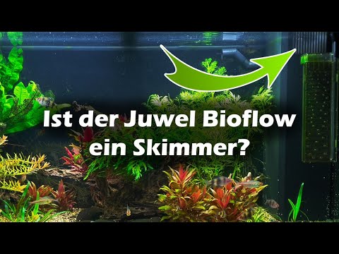 Juwel Bioflow ein Skimmer? (159)