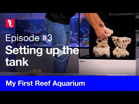 My First Reef Aquarium, episode 3 – Setting up the tank