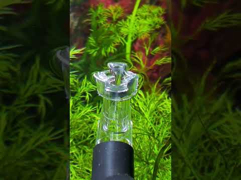 Aquario Neo Skimmer V 2 #aquarium #aquaristik