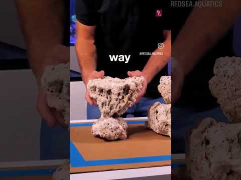 The ultimate introduction to reefkeeping! Check it out at our website! #reefaquarium