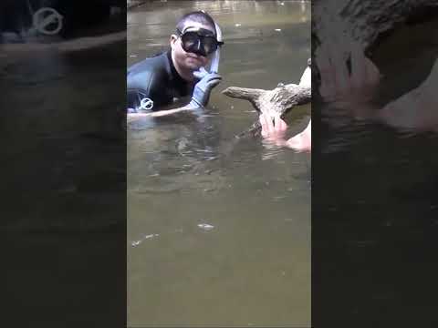 NEW FISH DISCOVERED! 😮 #shorts