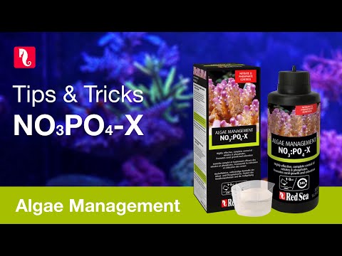 NOPOX – Tips and Tricks