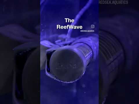 The REEFER MAX series – Plug and Play smart reef systems!