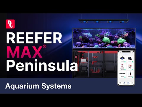 REEFER MAX Peninsula G2+Room-divider  Plug & Play smart aquarium systems