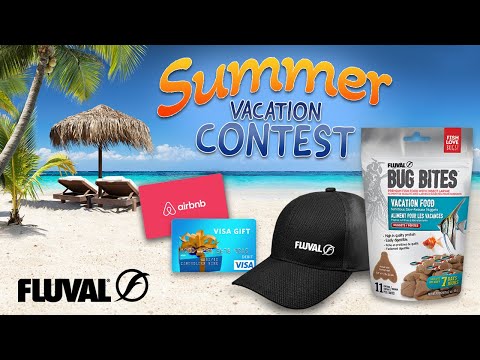 FLUVAL SUMMER VACATION CONTEST!