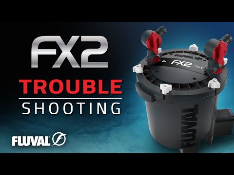 Fluval FX2 Canister Filter | Troubleshooting Tips