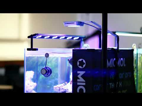 MICMOL – G2 FELIX Supplemental lighting