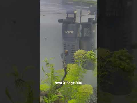 sera X-Edge 300