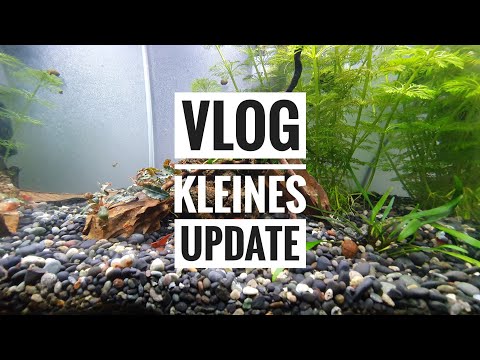 VLOG – Kleines Update