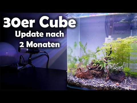 Update 30er Nano Cube nach 2 Monaten (167)