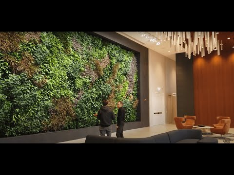 Green Wall / Living Wall (Chicago Tishman Building)