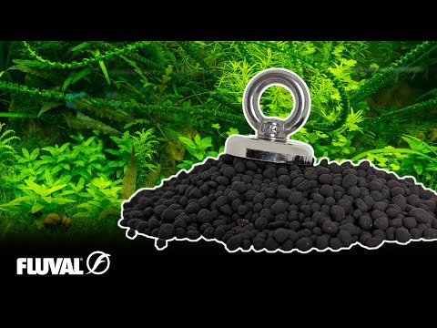 Aquarium Soil Cleaning with a Magnet (It Really Works!)