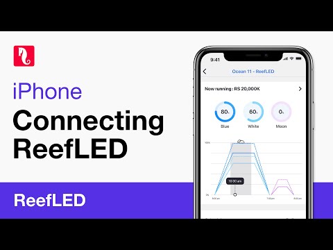 Connecting ReefLED to ReefBeat – Tutorial