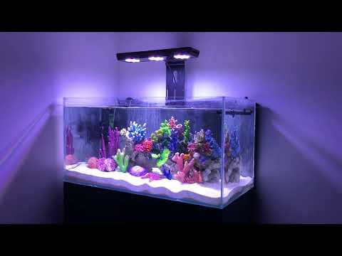 MICMOL – THOR PRO 180 MARINE