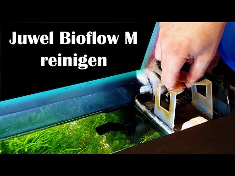 Juwel Bioflow M reinigen (169)