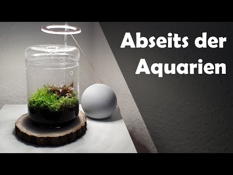 Abseits der Aquarien (173)