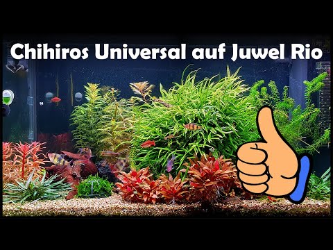 Chihiros Universal WRGB an Juwel Rio 125 (174)