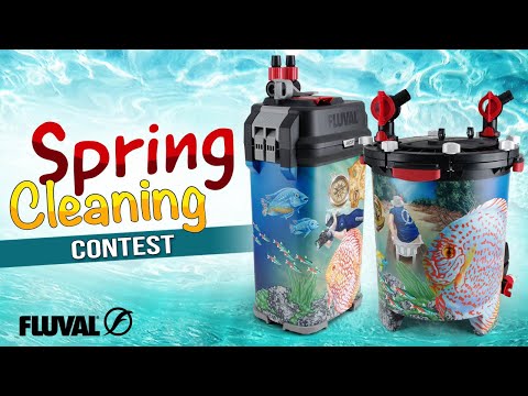 FLUVAL SPRING CLEANING CONTEST