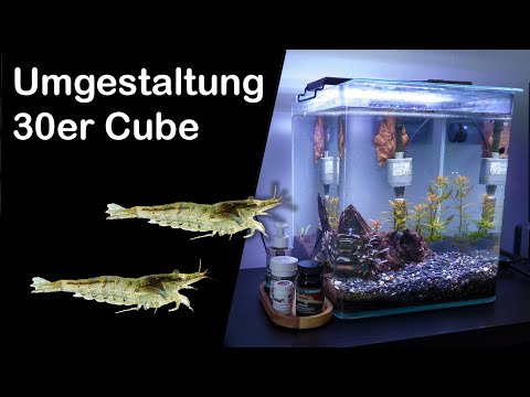 Umgestaltung 30er Cube (175)