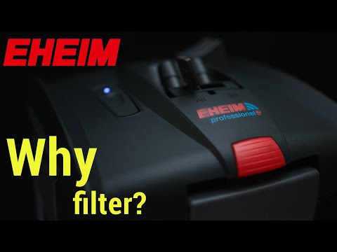 Why External Filters Are Important for Planted Aquariums