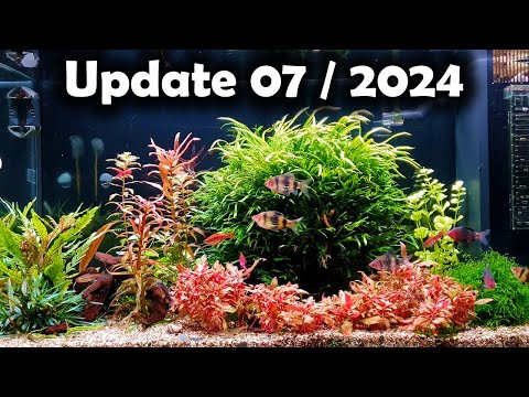 Update Juwel Rio 125 Juli 2024 (177)