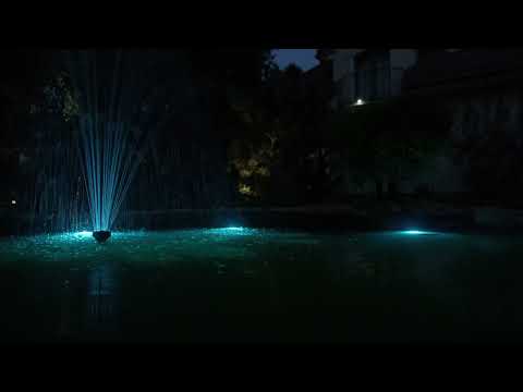 Waterlight Trio