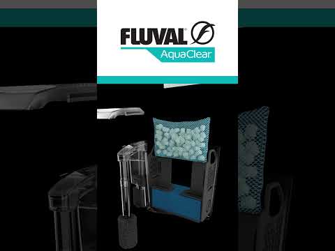 New Fluval AC Series filters 🔥 #shorts