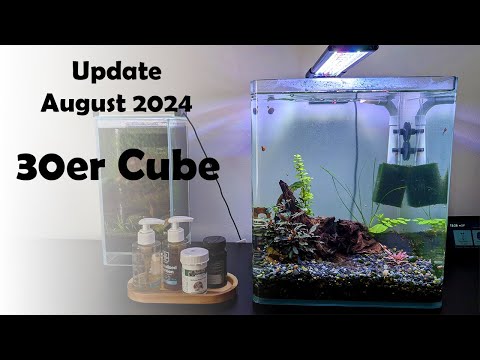 VLOG 30er Cube August 2024 (178)