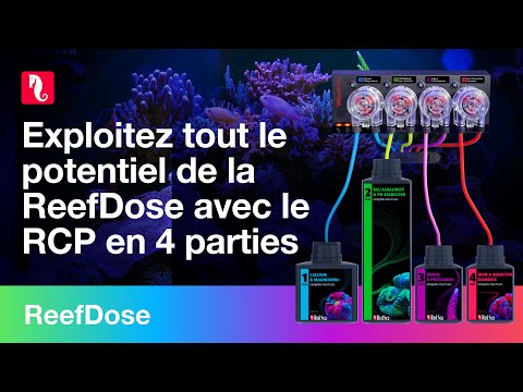 Exploitez tout le potentiel de la ReefDose 4 et profitez du dosage simplifié !