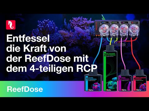 Entfesseln Sie die Kraft der ReefDose 4 und erleben Sie eine vereinfachte Dosierung!