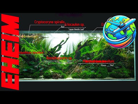 Eheim Aquascaping Tour | Aquascaping ideas from Vienna