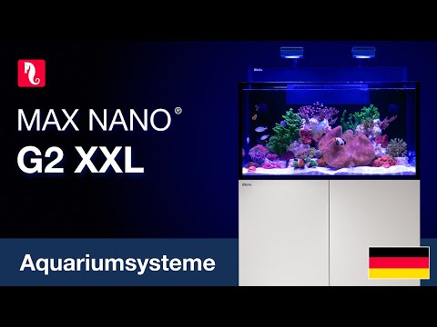 Das MAX NANO G2 XXL – Profi-Riff mit allen NANO-Vorteilen
