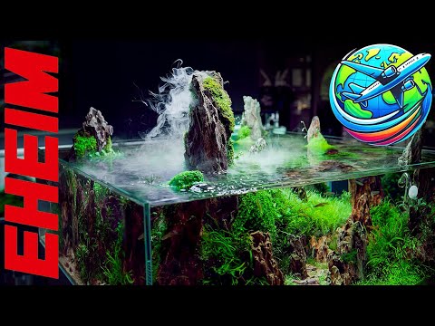 Eheim Aquascaping Tour | Green Aqua Aquarium Shop & Gallery