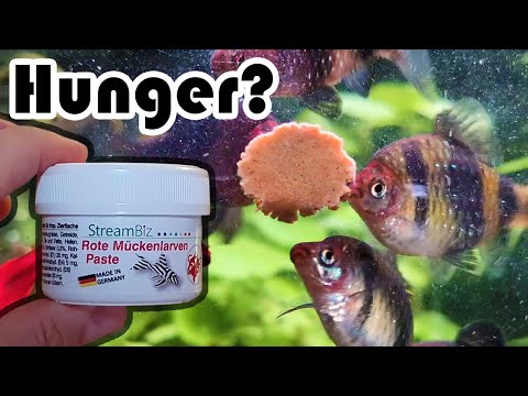 StreamBiz Futterpaste Rote Mückenlarven (179)